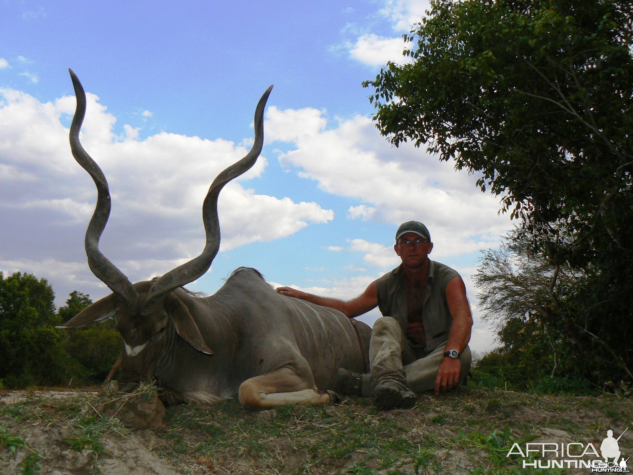 Greater Kudu with a third horn