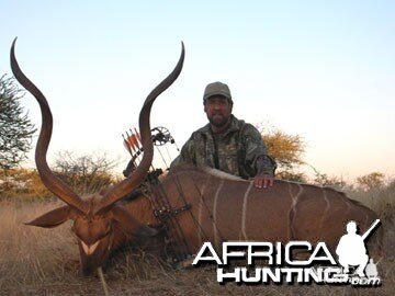 Greater Kudu