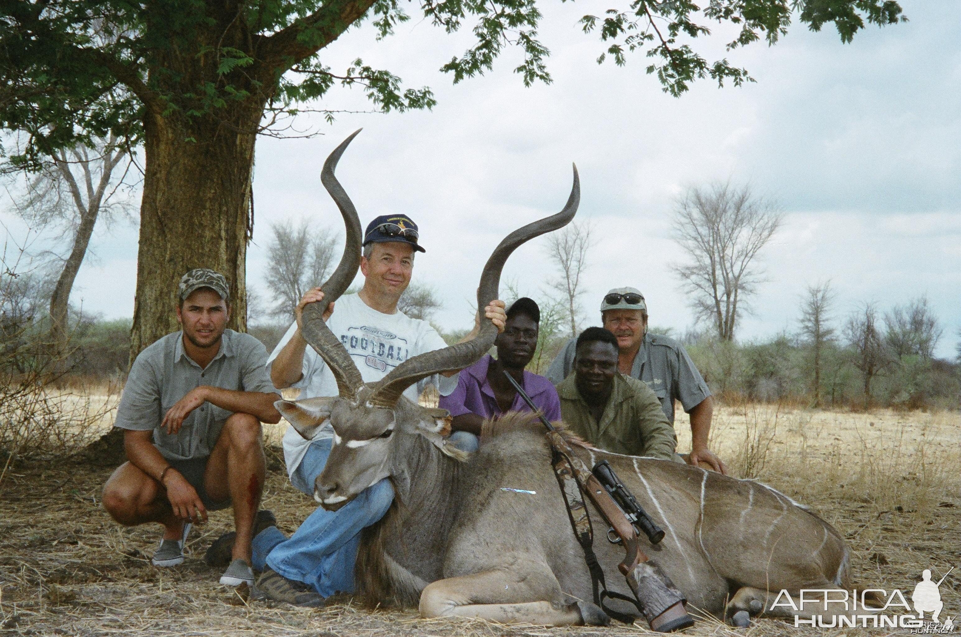 Greater Kudu