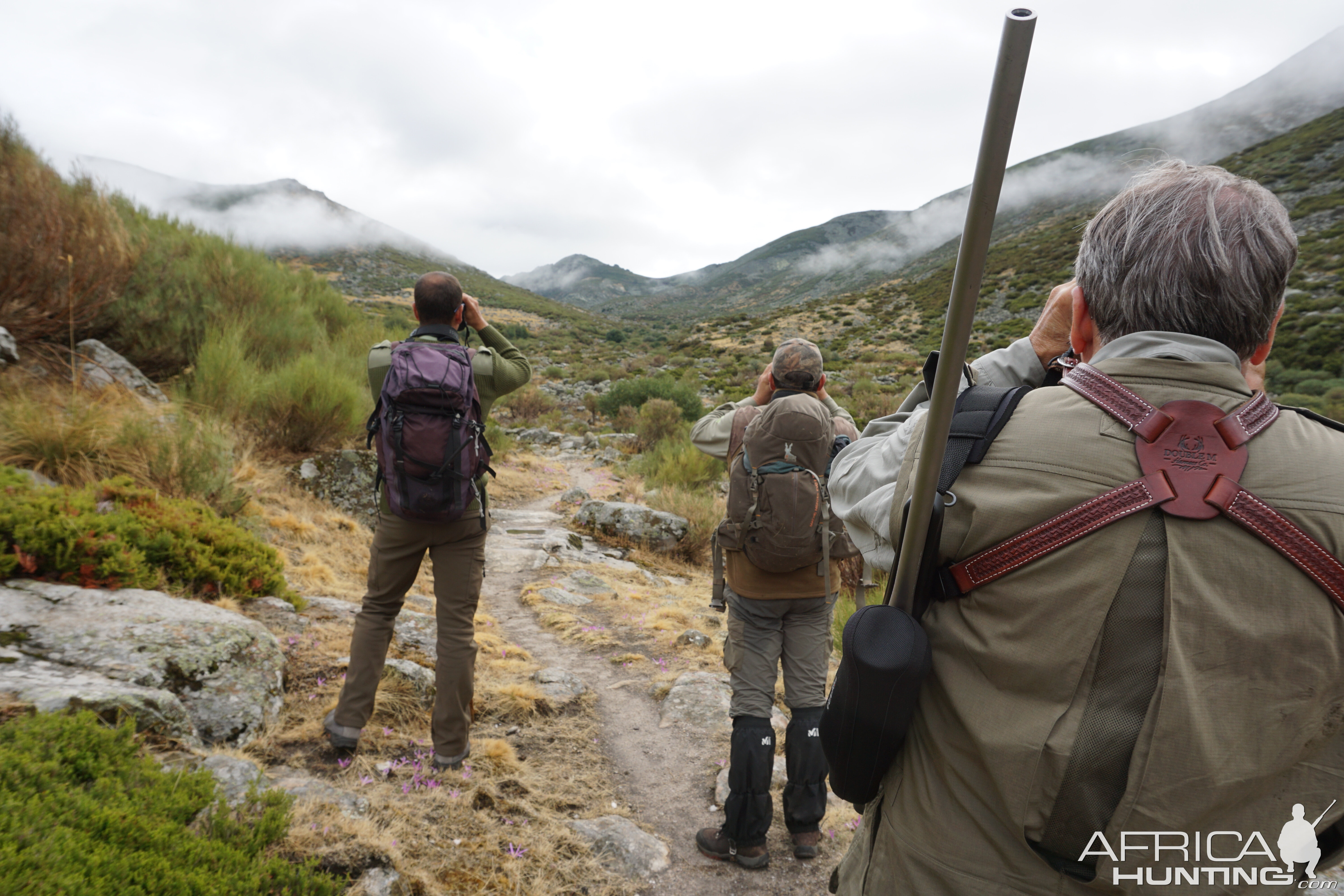 Gredos Ibex Hunt in Spain