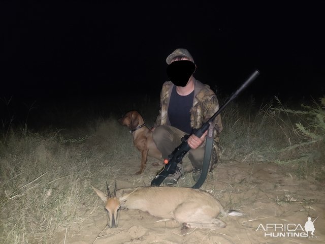 Grey Duiker Hunt