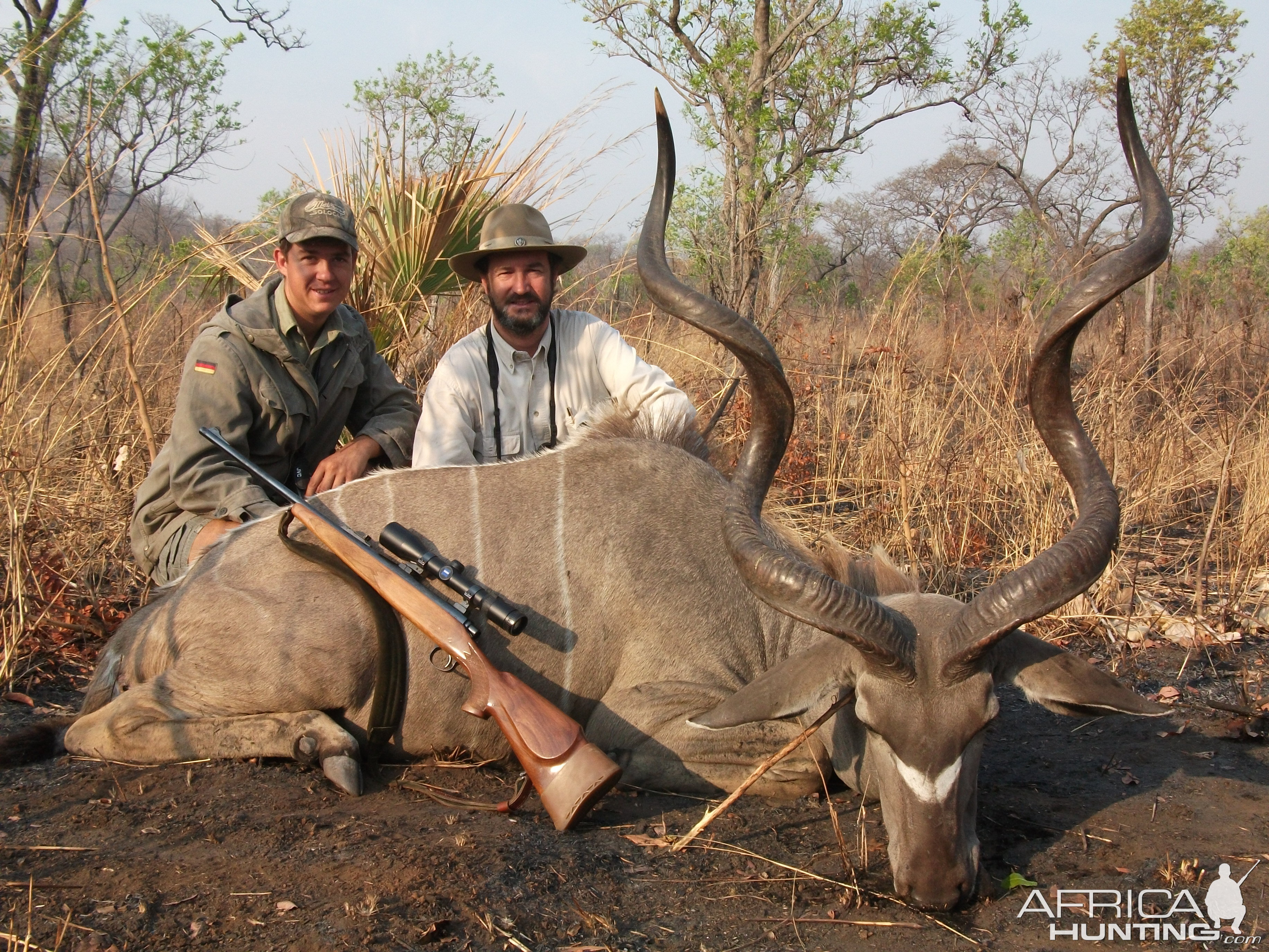 Grey Ghost of africa