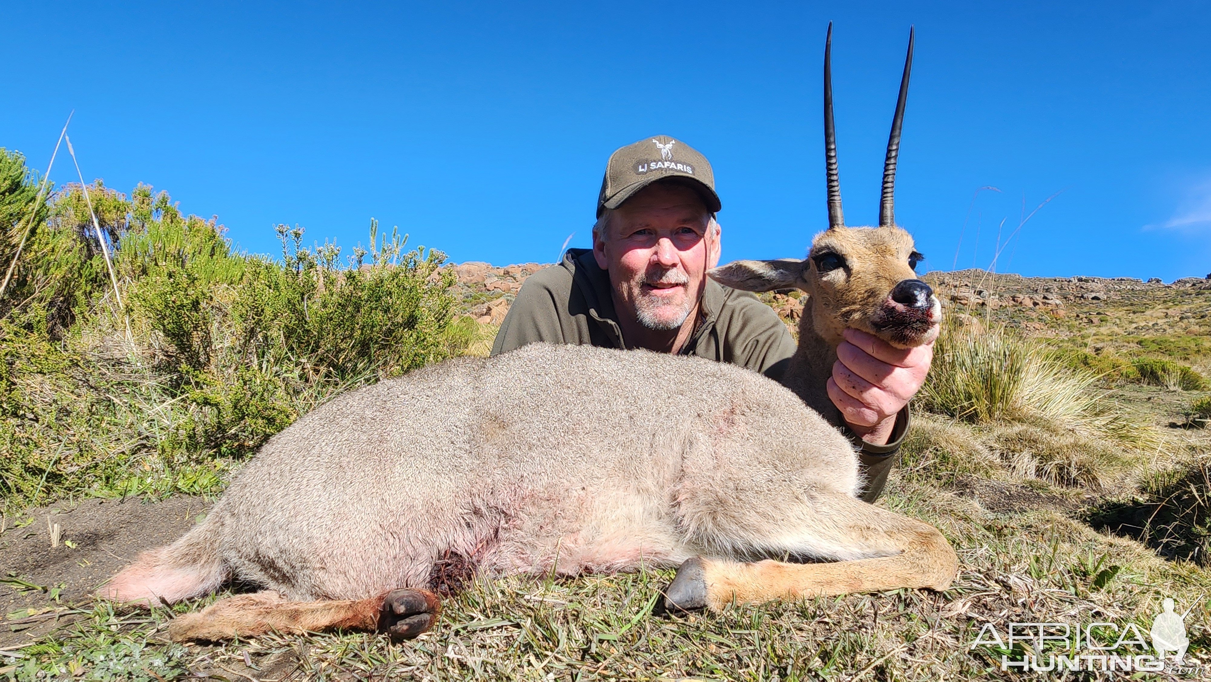 Grey Rhebok Hunt Eastern Cape South Africa