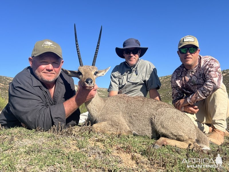 Grey Rhebok Hunt Eastern Cape South Africa