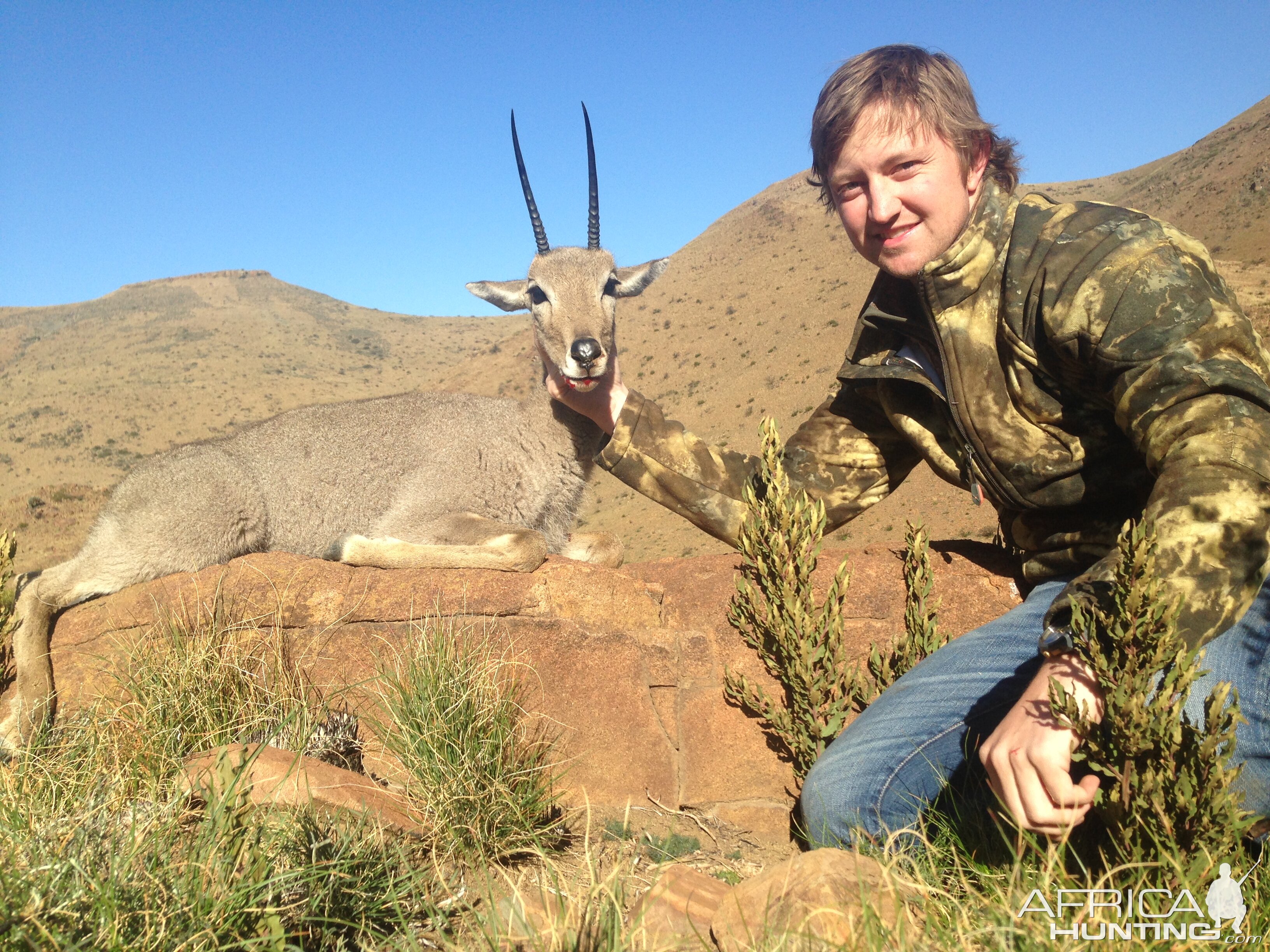 Grey Rhebok Hunting Eastern Cape South Africa