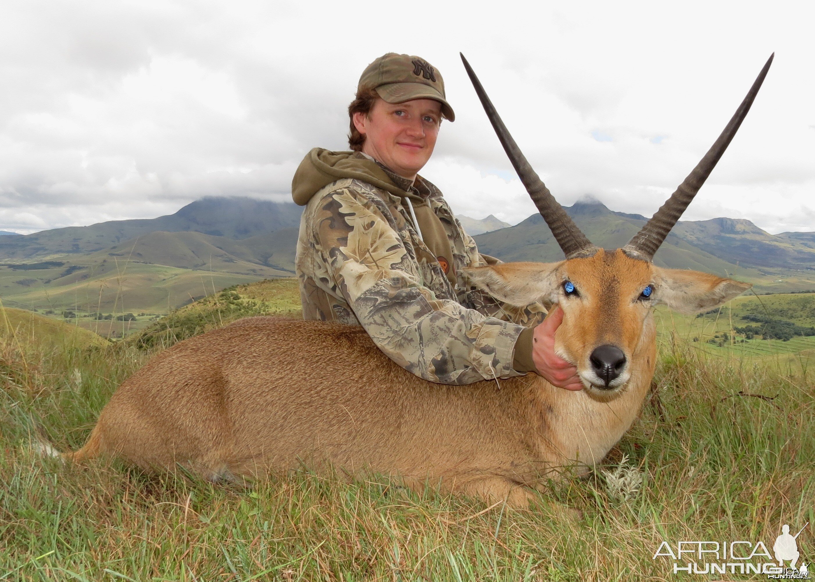 Griqualand East Common Reedbuck