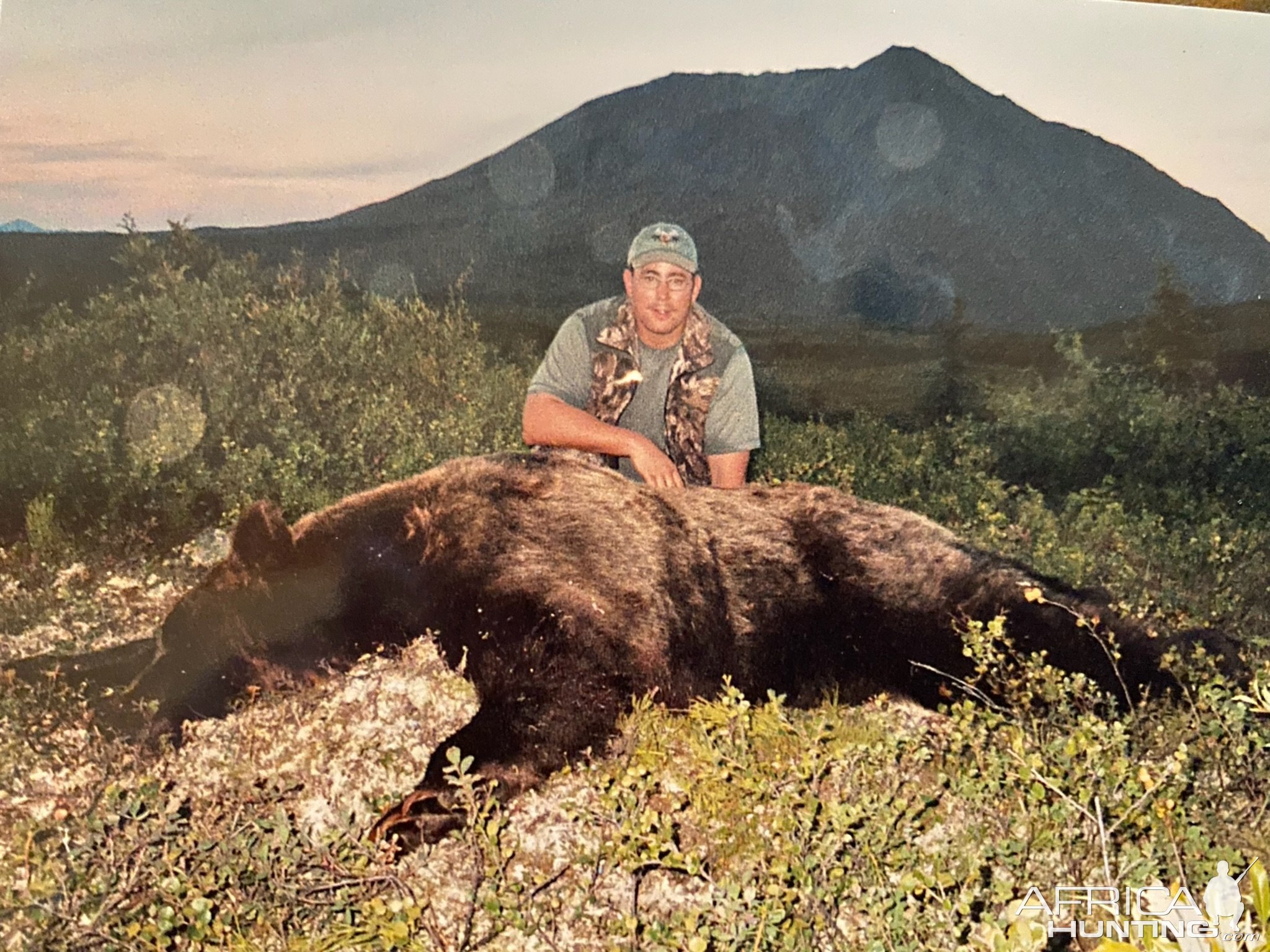 Grizzly Bear Hunt Alaska