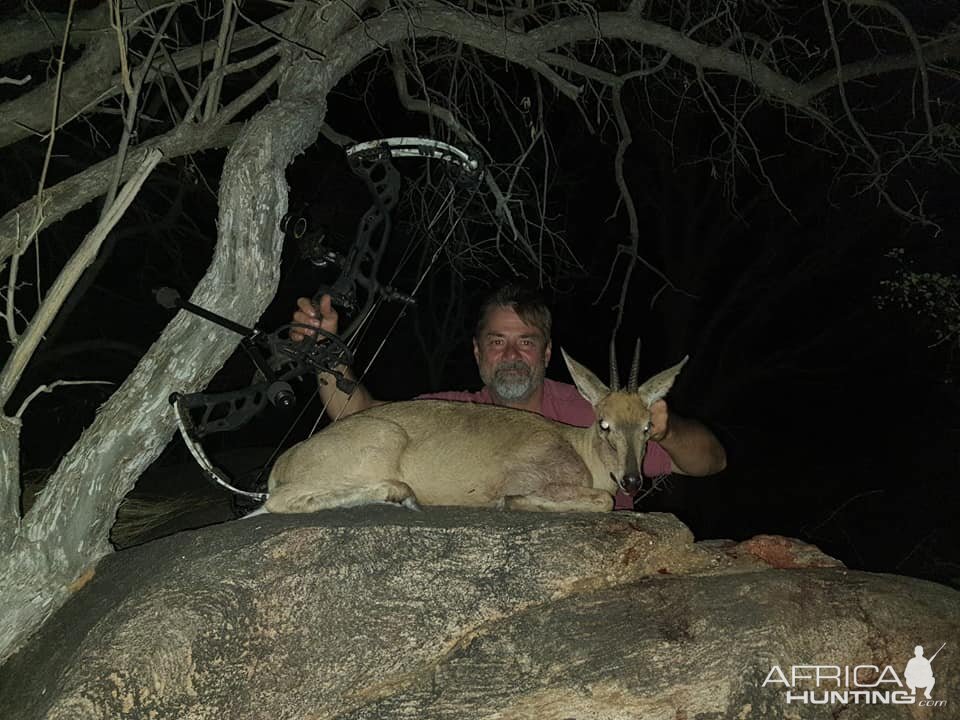 Grys Duiker Bow Hunt South Africa