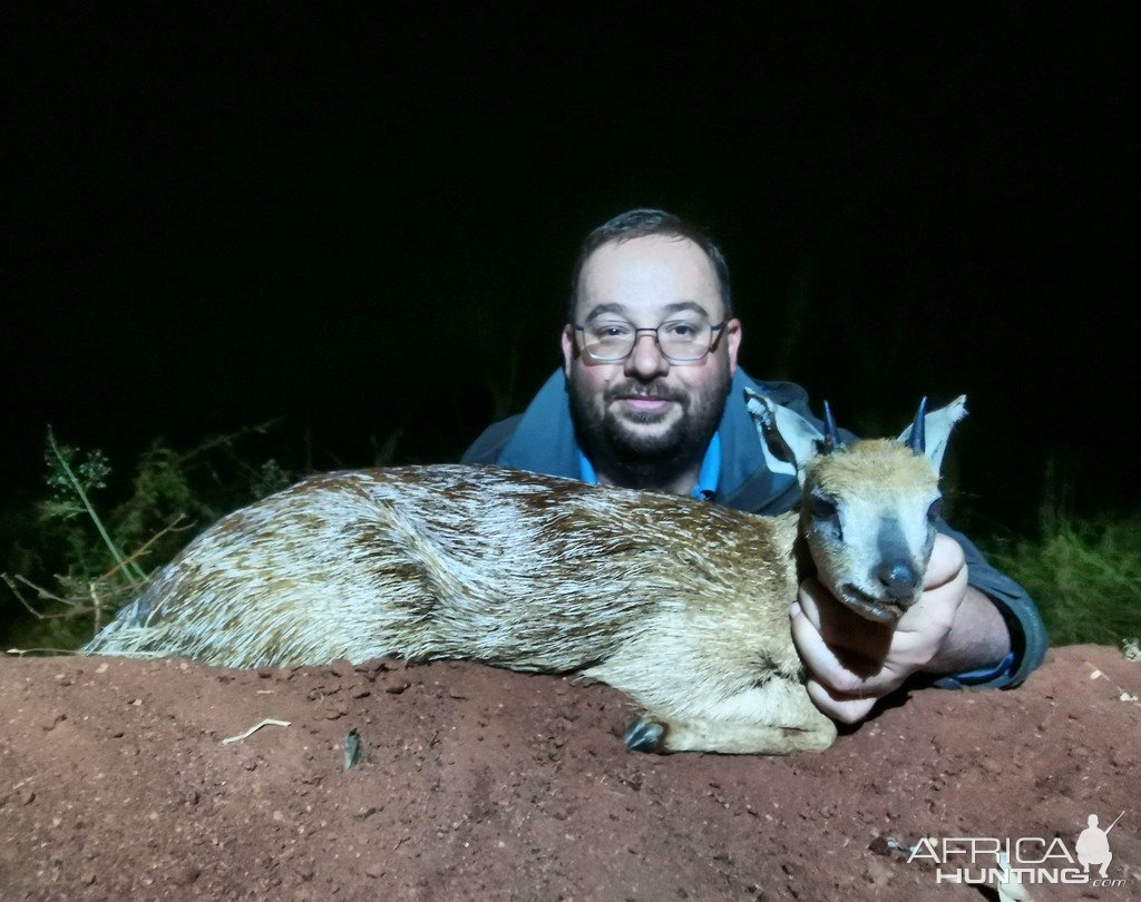 Grysbok Hunt South Africa