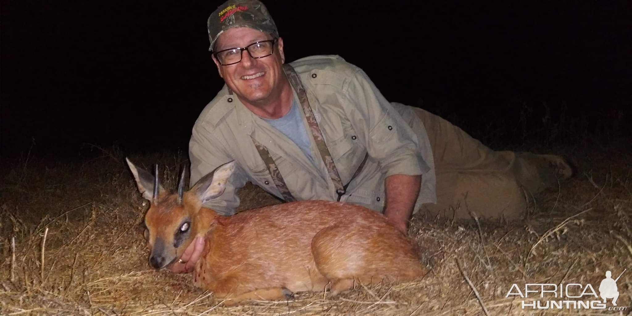 Grysbok Hunting Karoo South Affrica