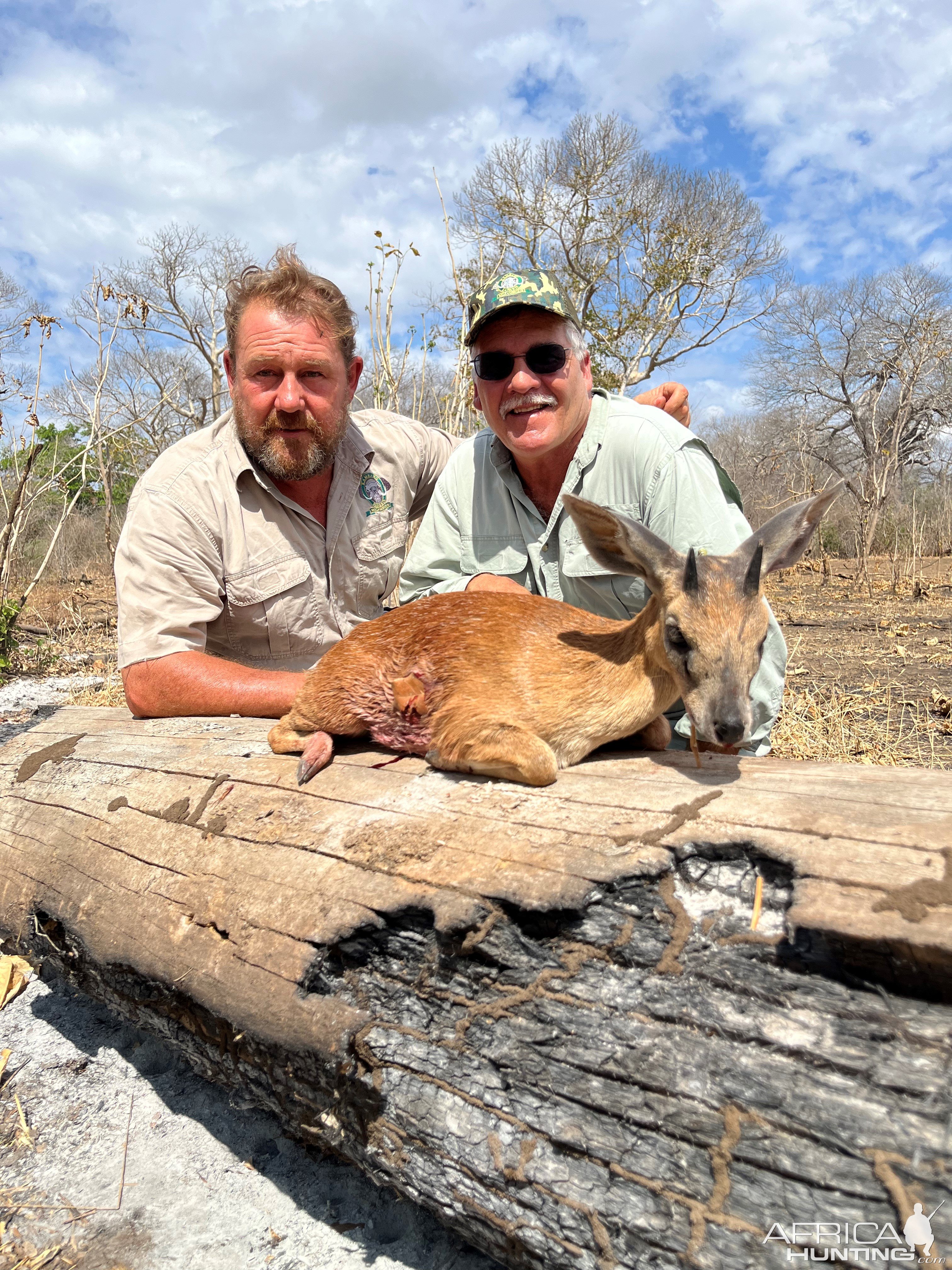 Grysbuck Hunt Mozambique