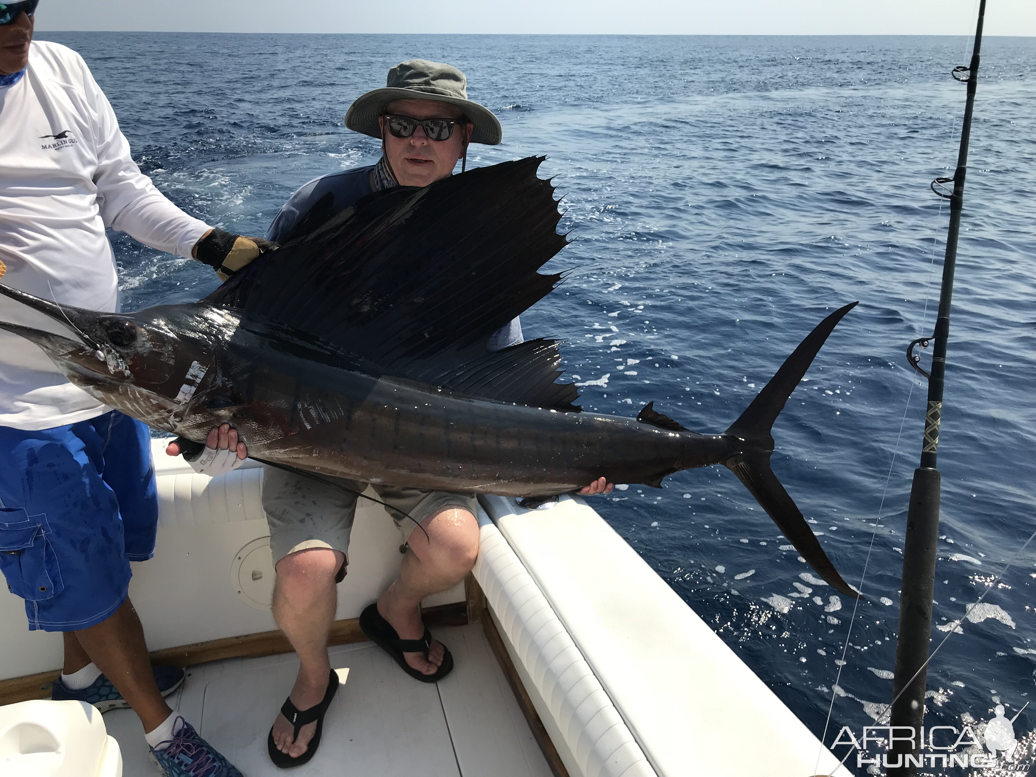 Guatemala sailfish