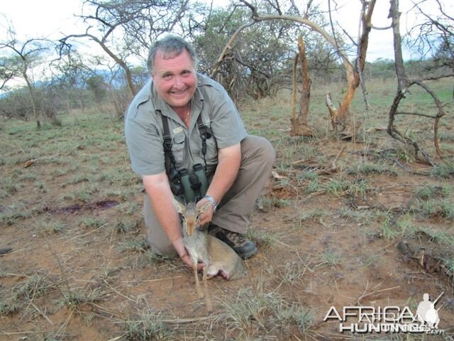 Guenther Dik Dik Hunted in Uganda