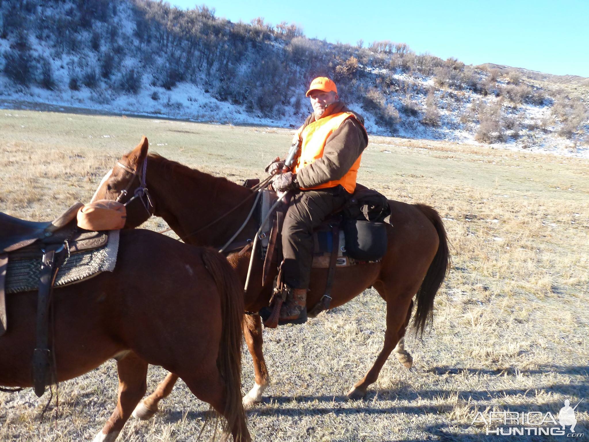 Guided Elk Hunt USA