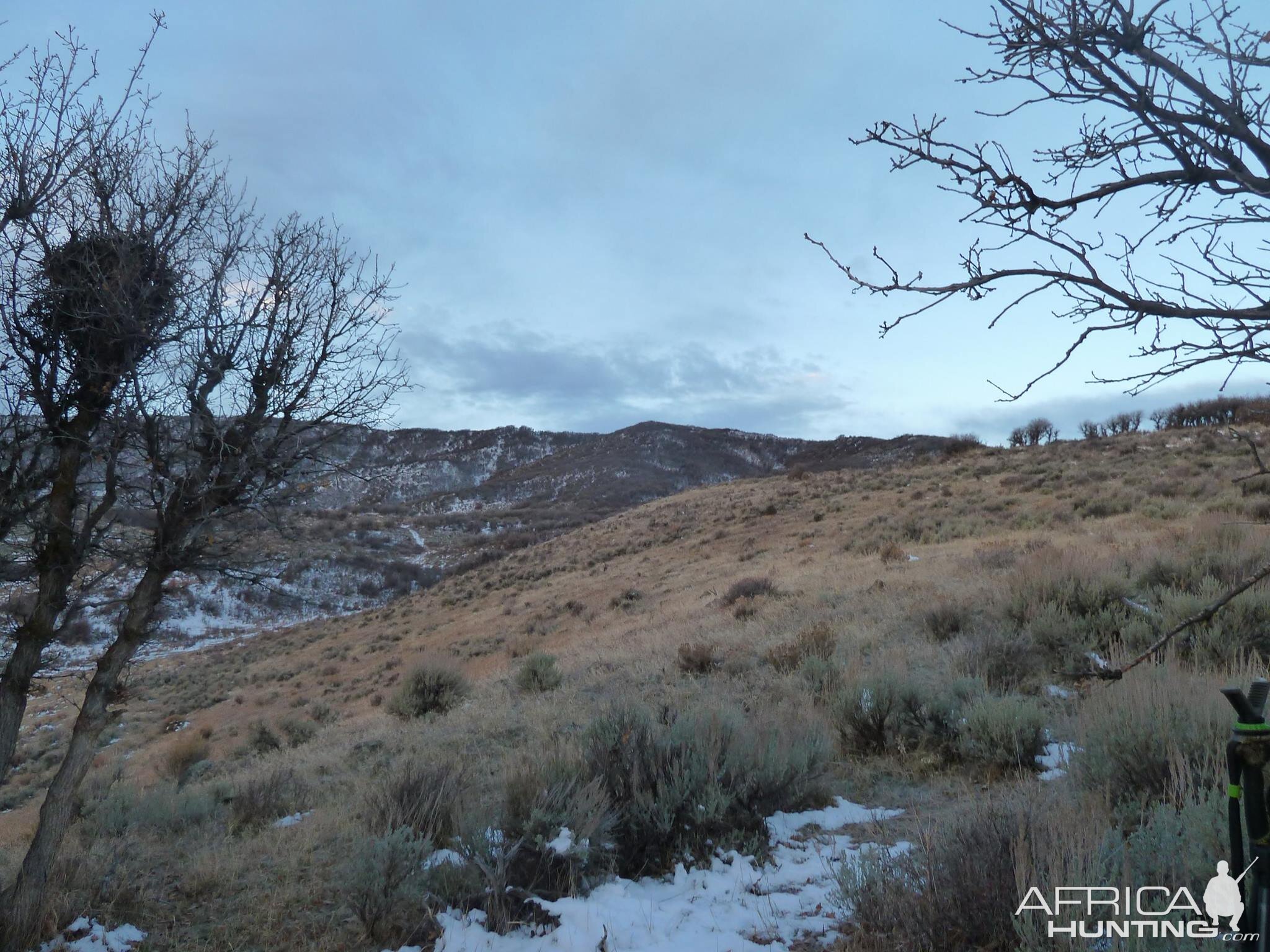 Guided Elk Hunt USA