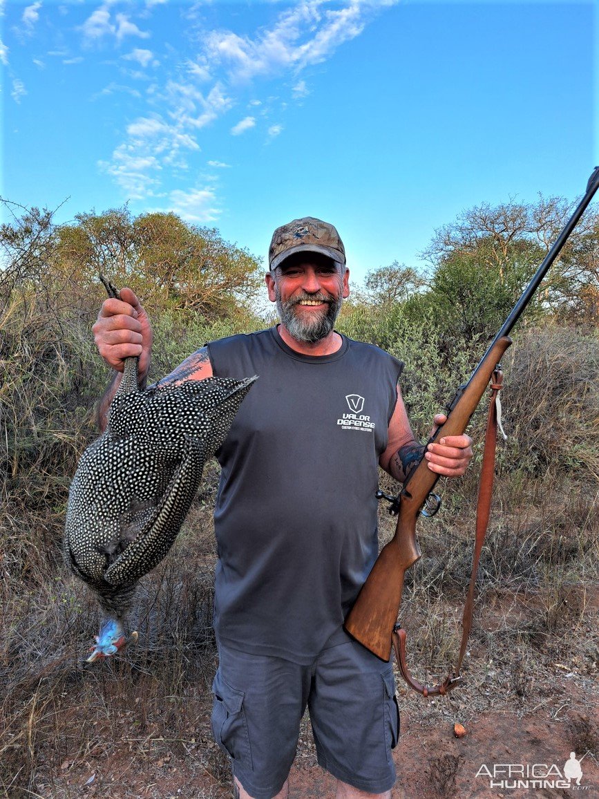 Guinea Fowl Hunt South Africa