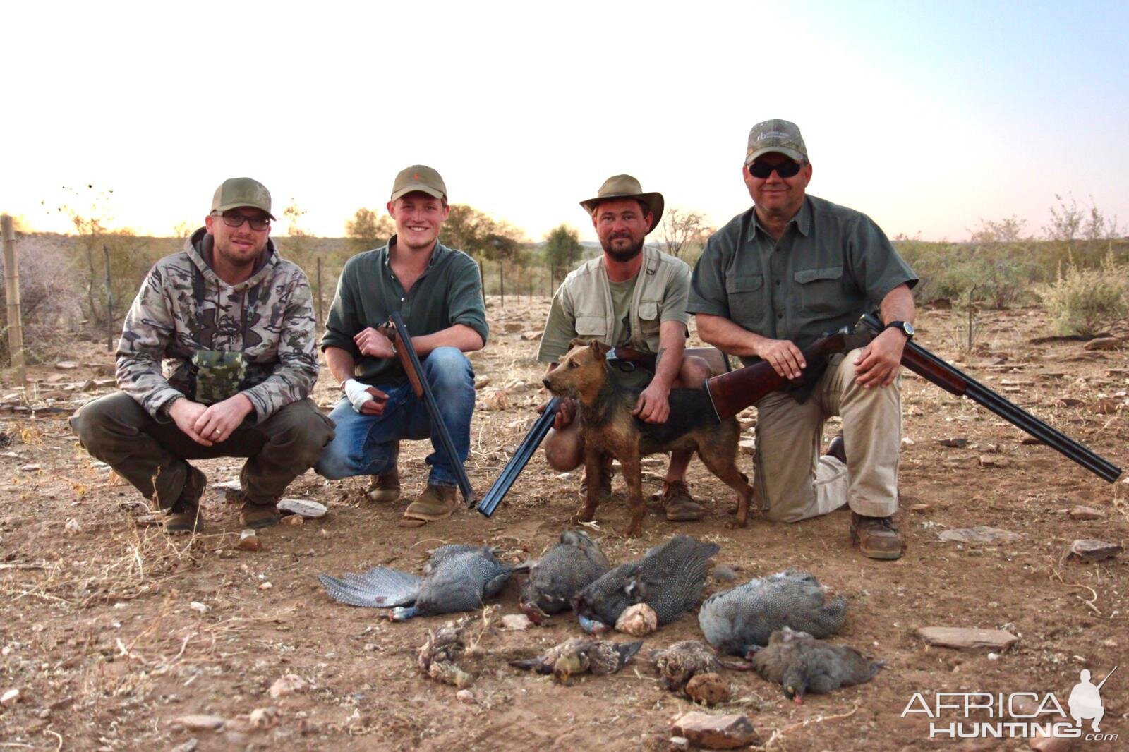 Guineafowl & Francolin Bird Hunting Namibia