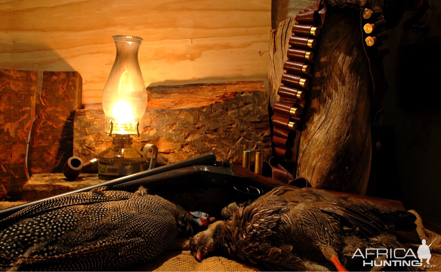 Guineafowl Hunting South Africa