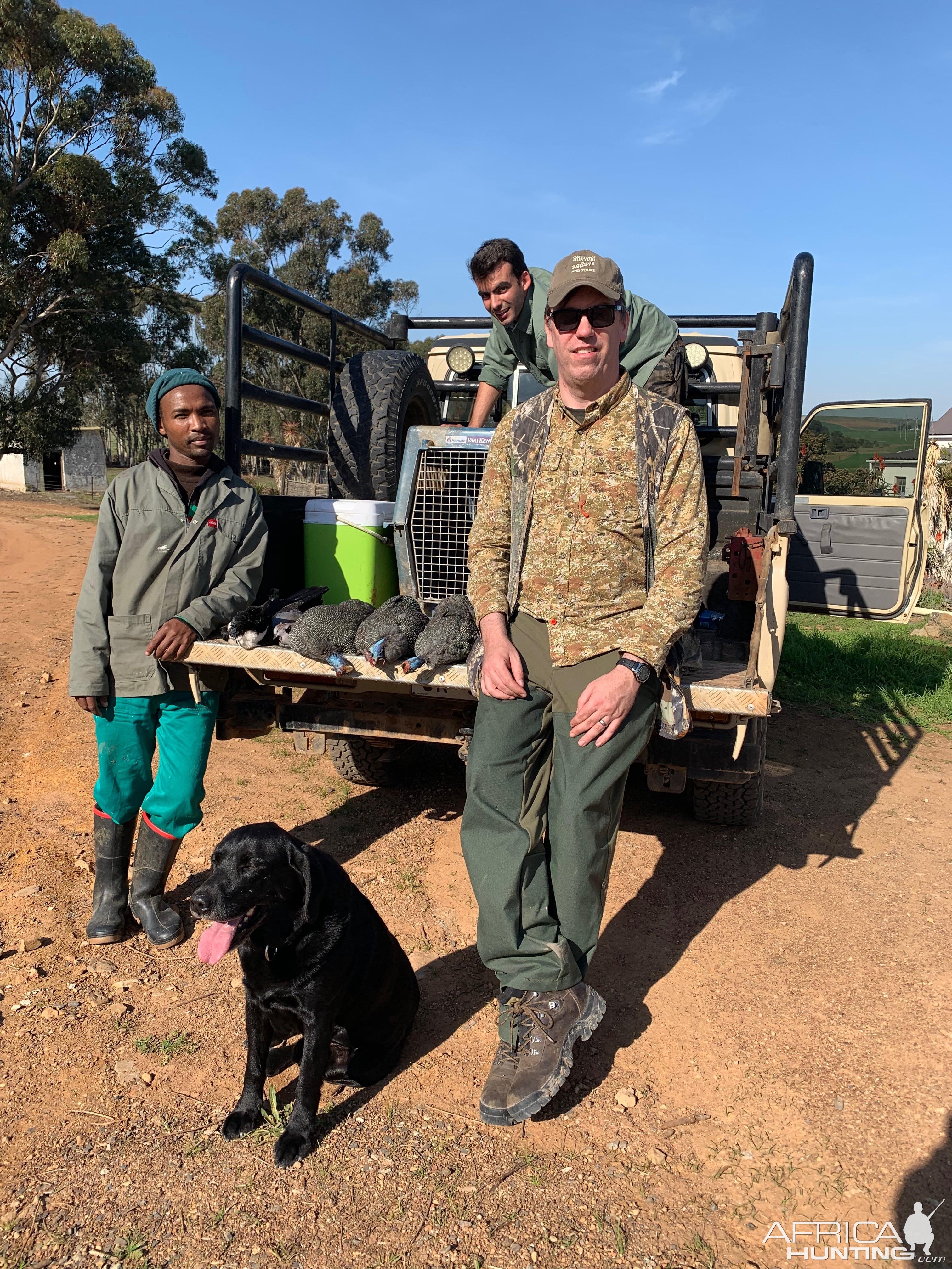 Guineafowl Hunting South Africa