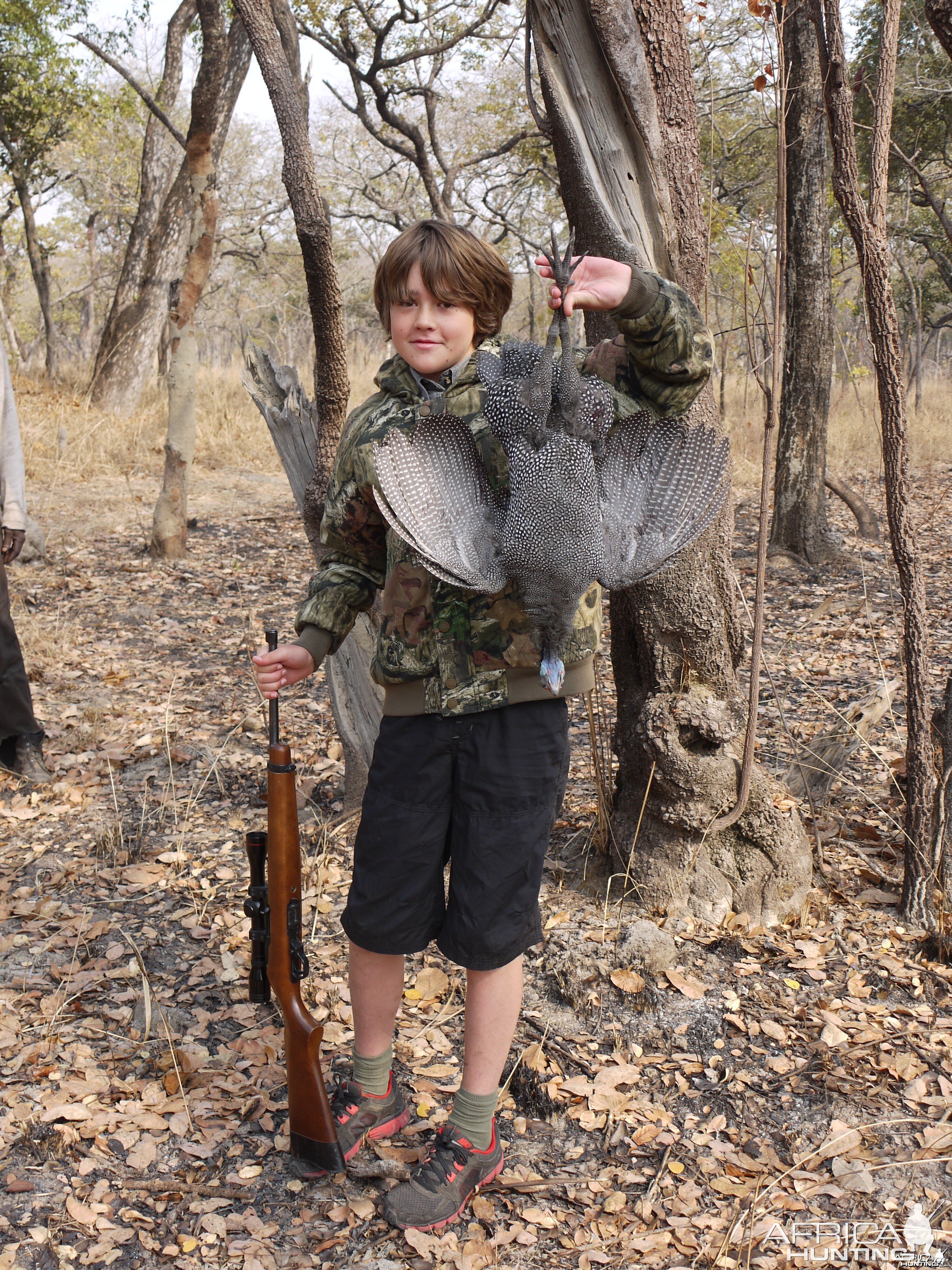 guineafowl, zambia, takeri august 2012