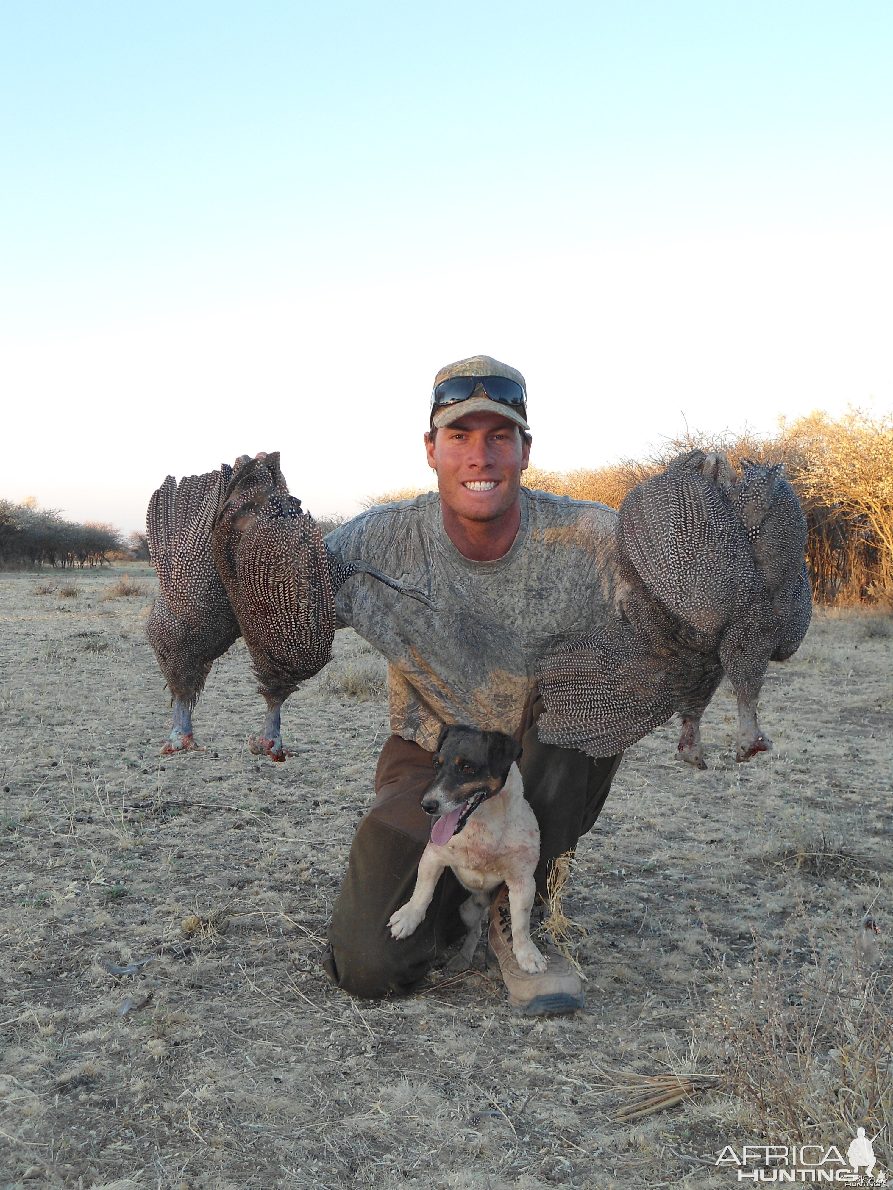 Guineafowls hunted with Ozondjahe Hunting Safaris in Namibia