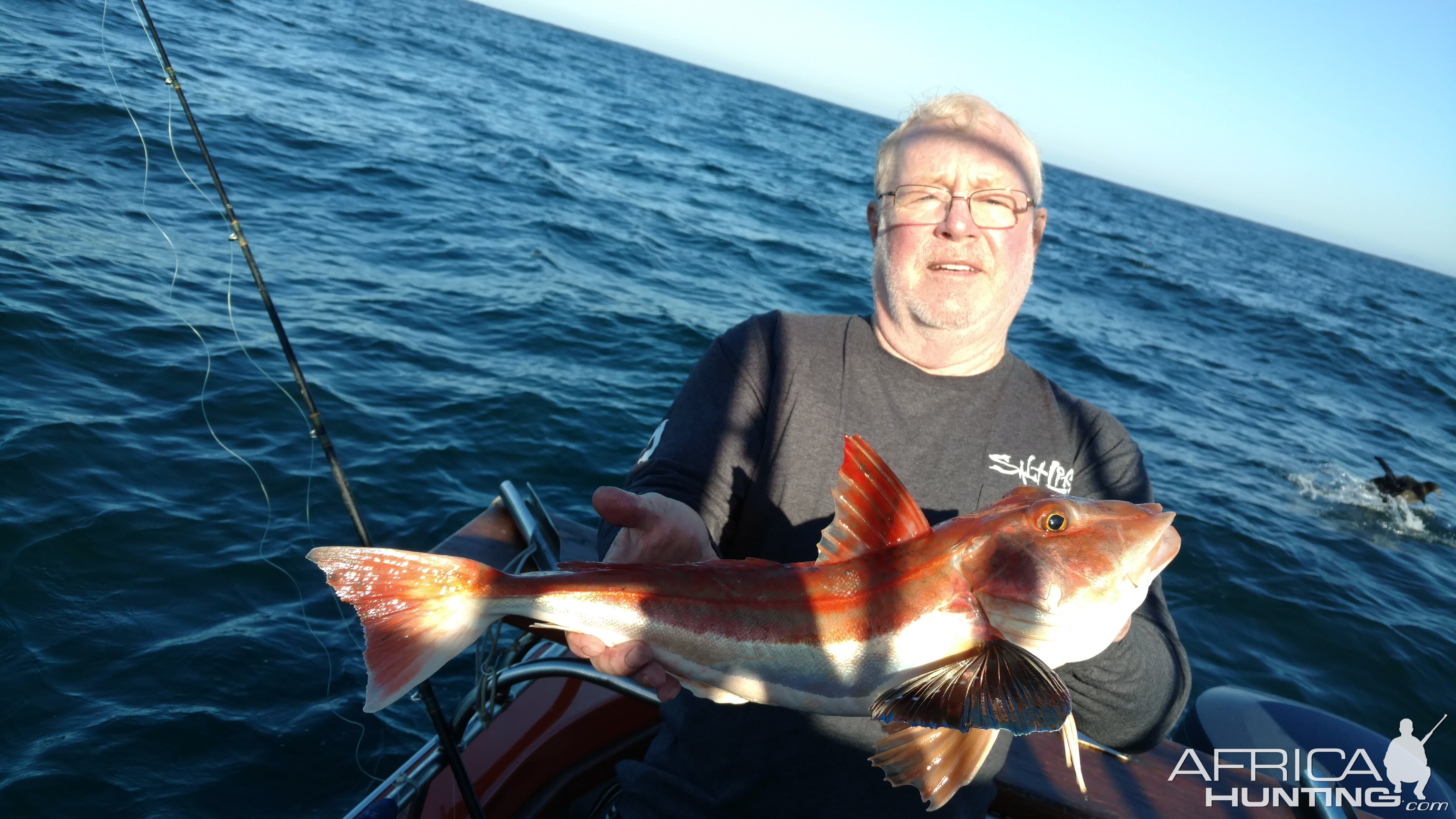 Gurnard South Africa Fishing