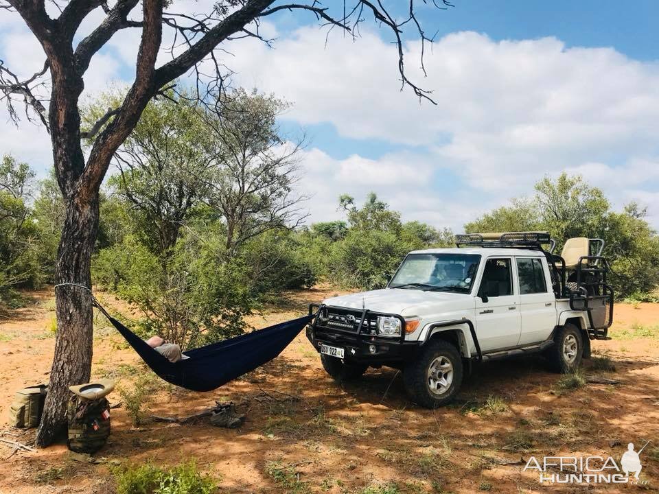 Hammock's Bush Lunch