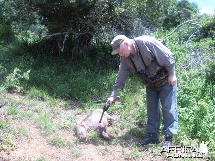 Handgun Hunting Warthog