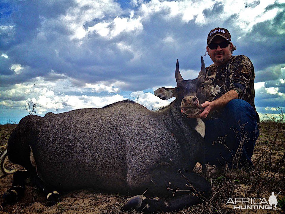 Happy Client with Nilgai