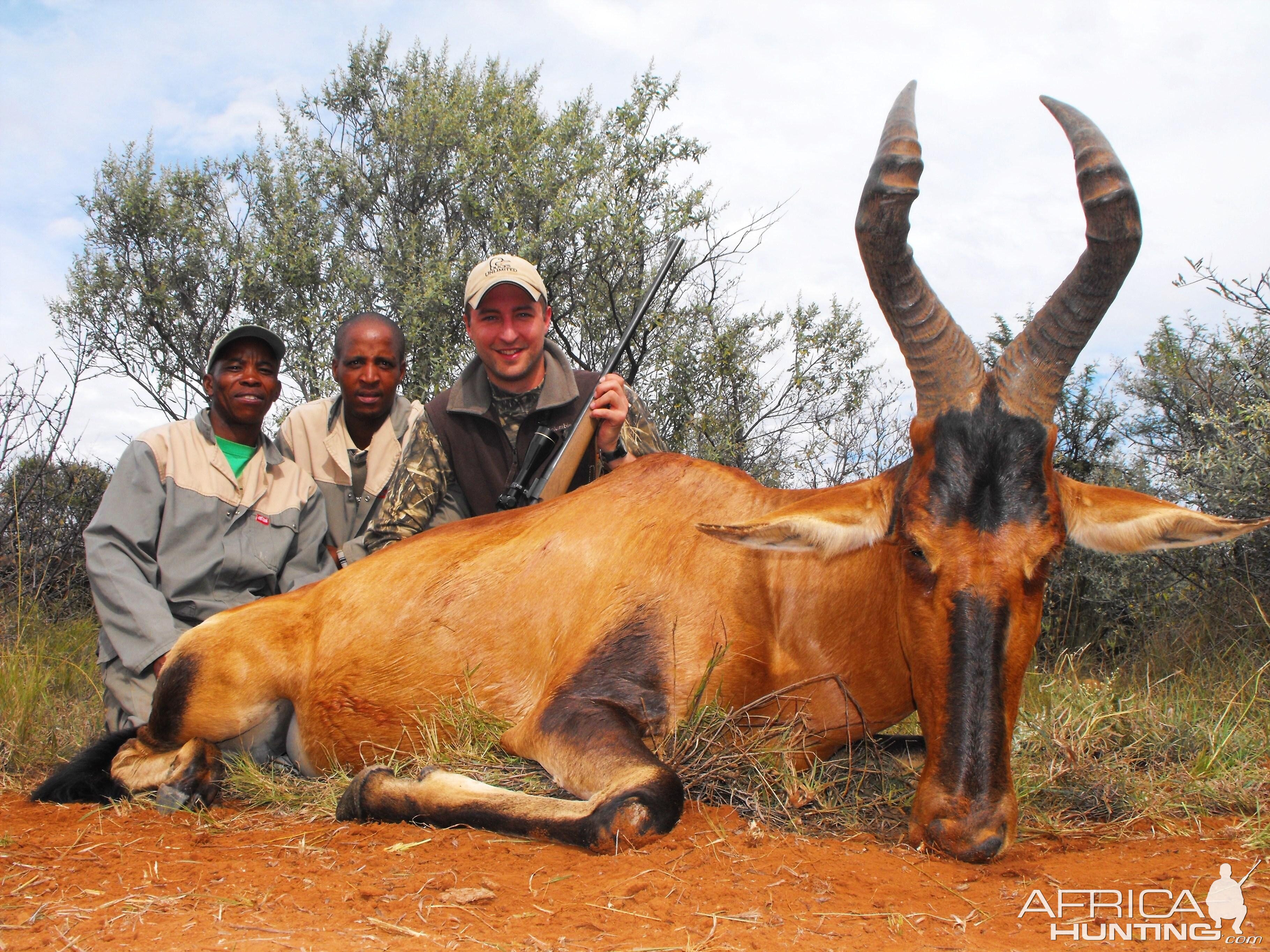 Happy with this Haretebeest for sure