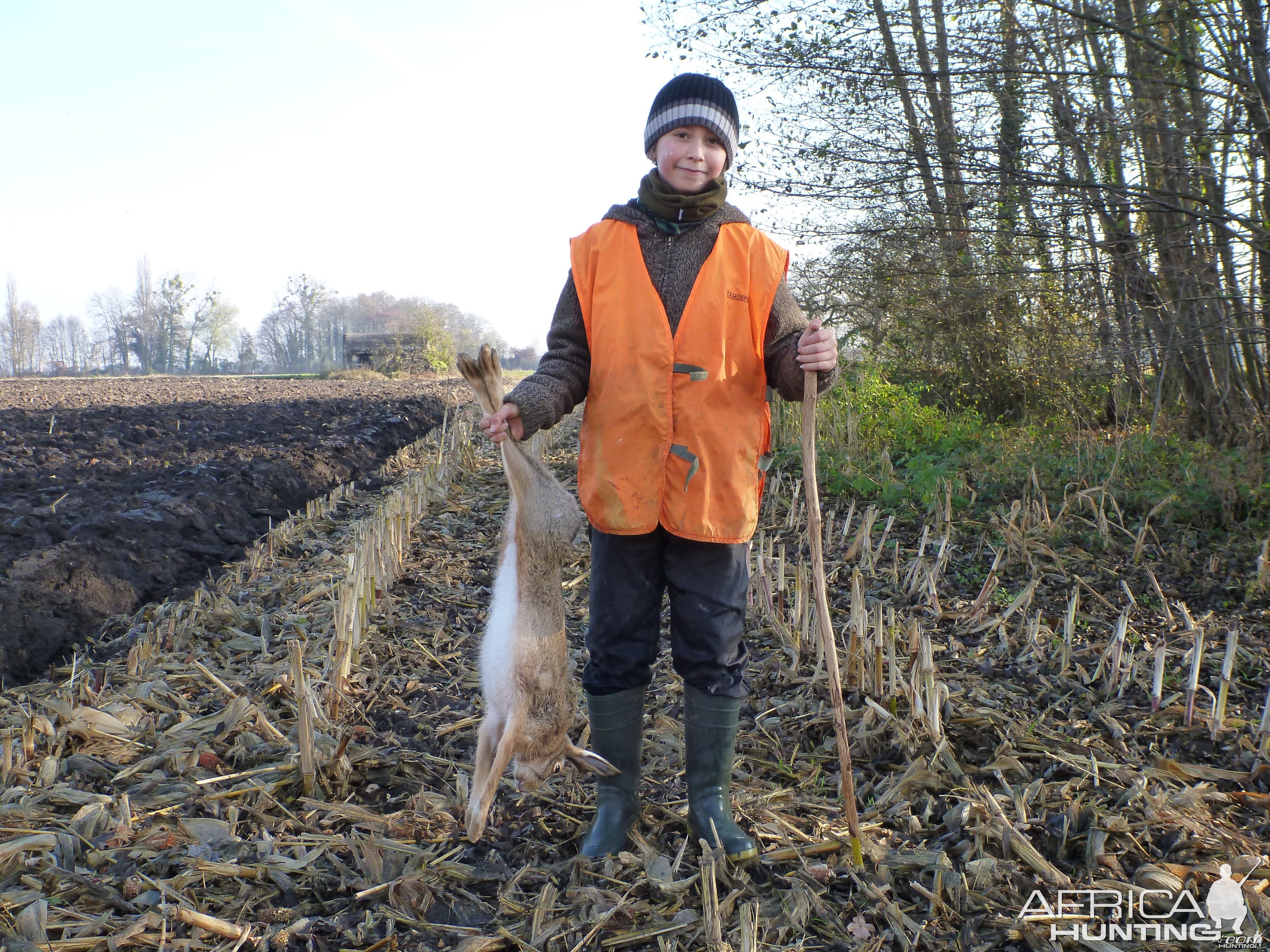 Hare Hunting in France