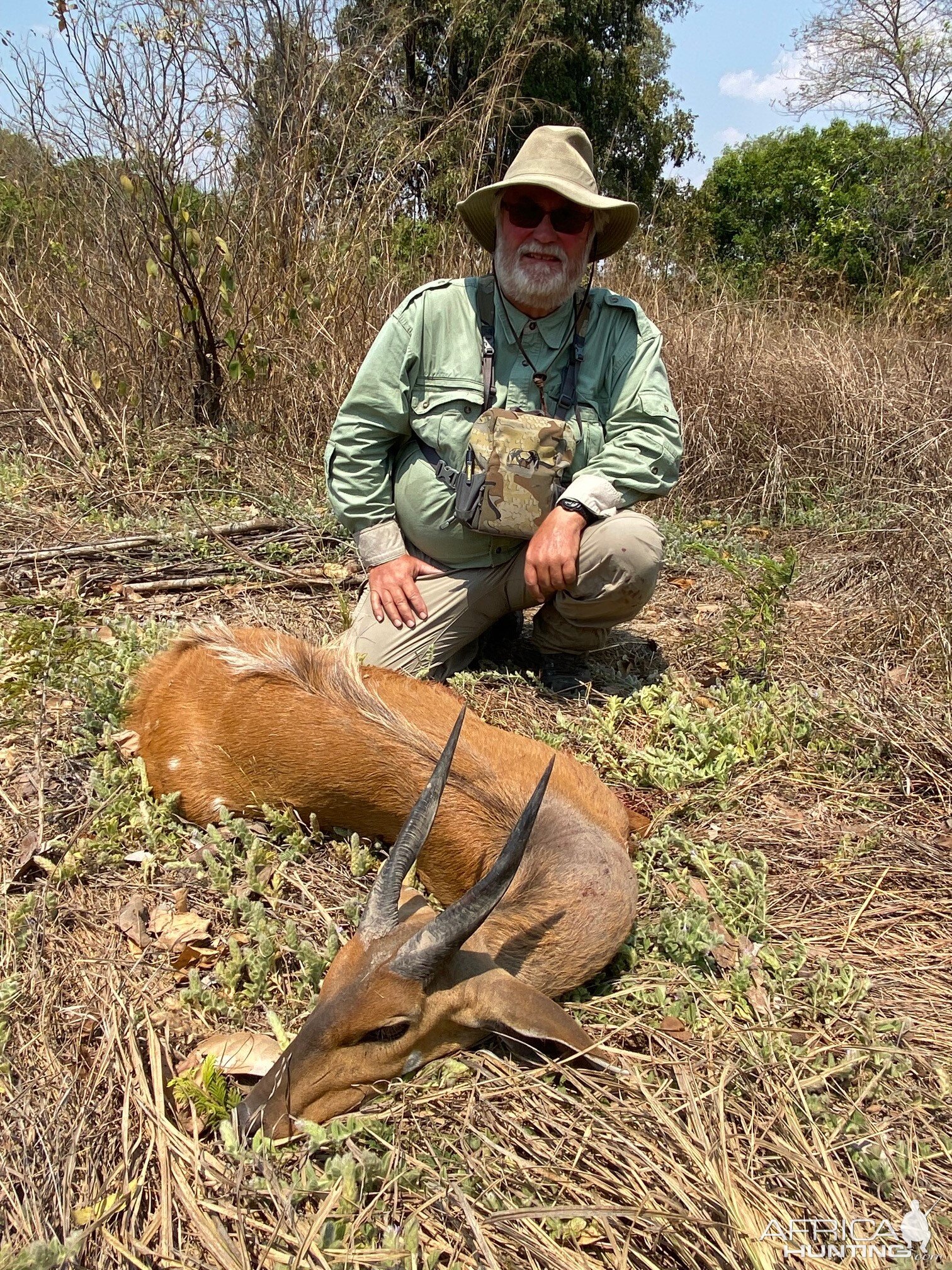 Harnessed Bushbuck Hunt Tanzania