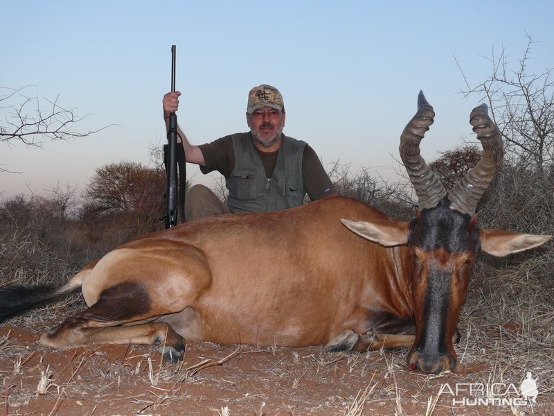 Hartebeest 2008