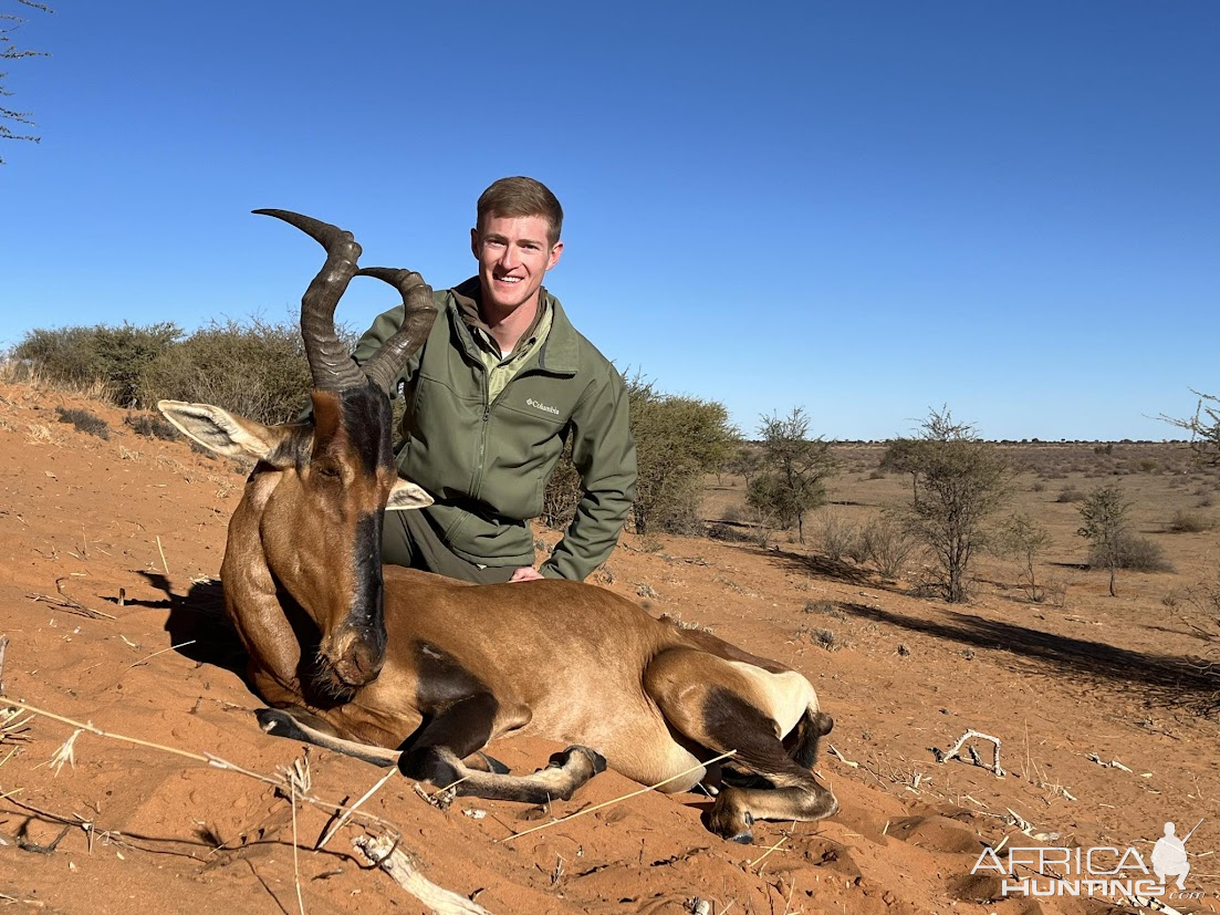 Hartebeest Hunt Namibia