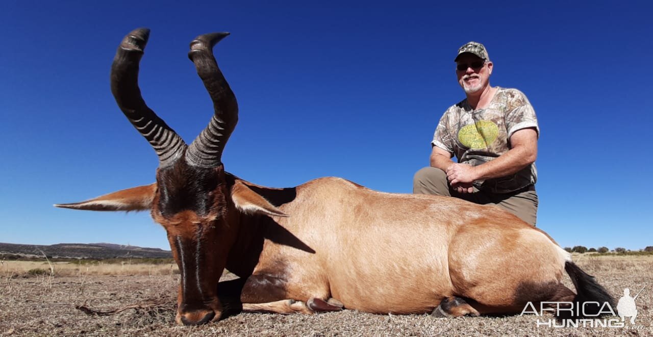 Hartebeest Hunt South Africa