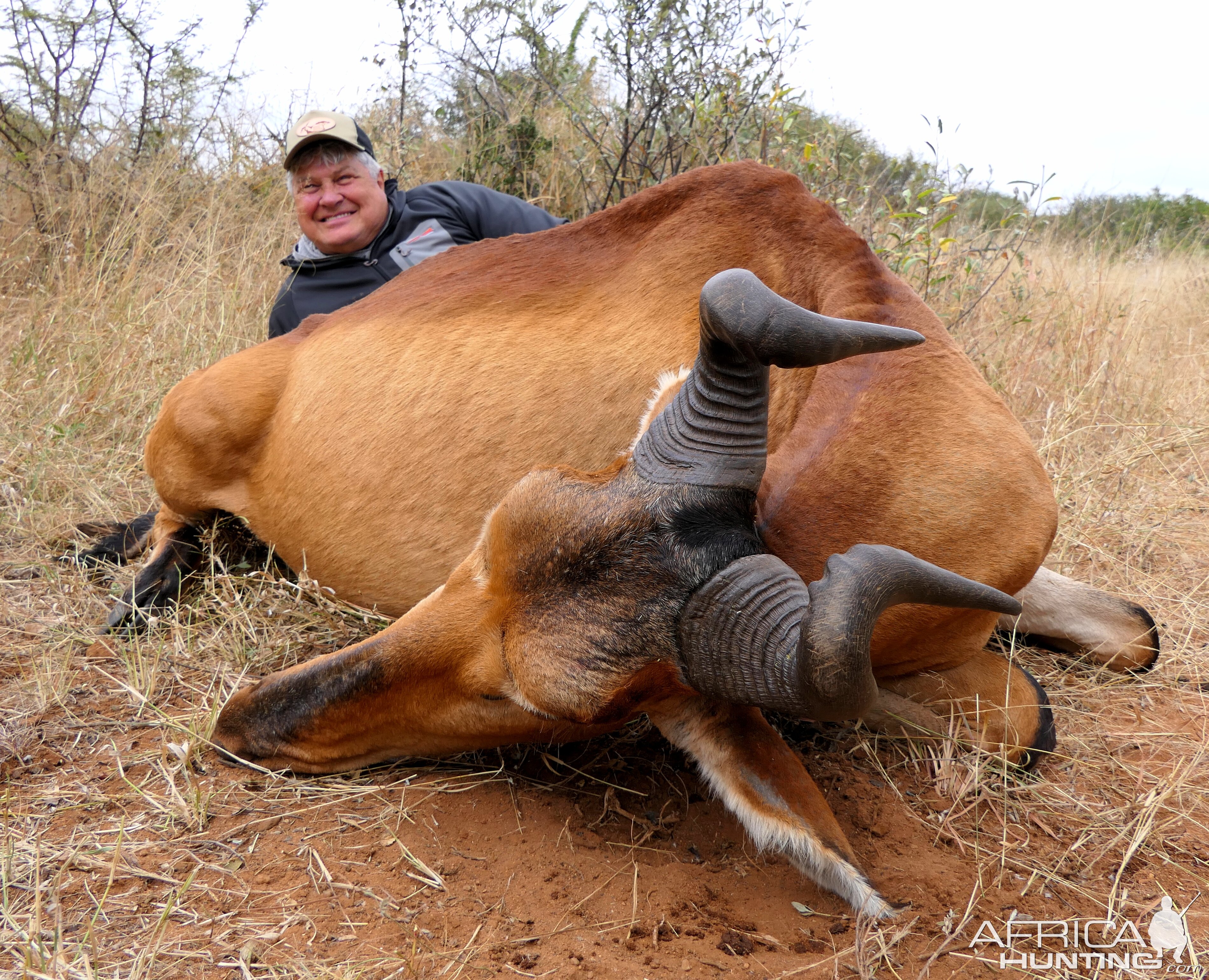 Hartebeest Hunt South Africa