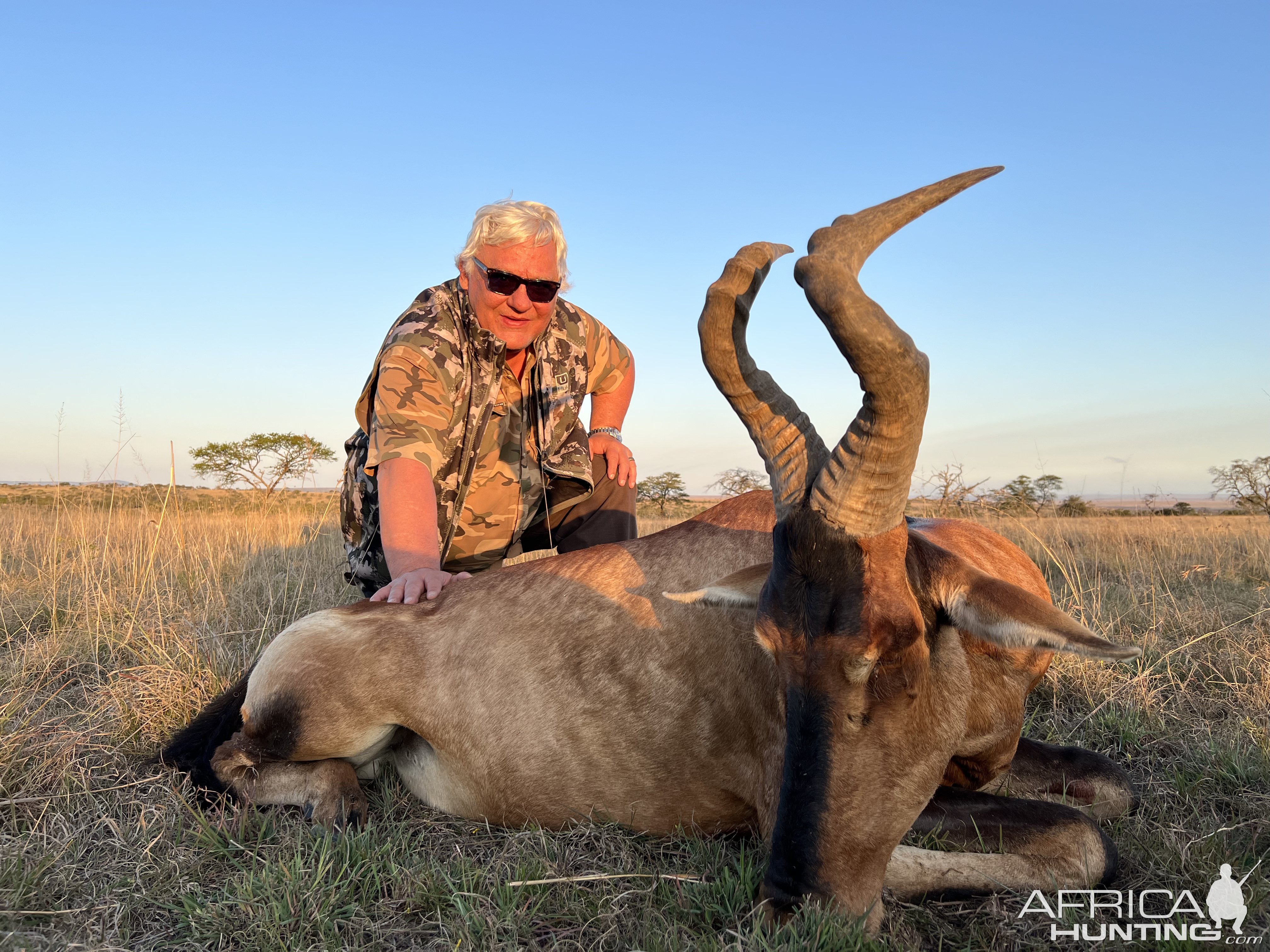 Hartebeest Hunt South Africa