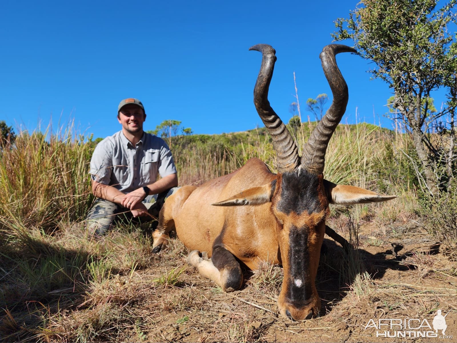 Hartebeest Hunt South Africa