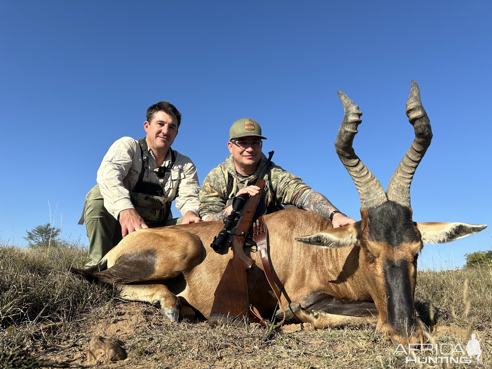 Hartebeest Hunt South Africa