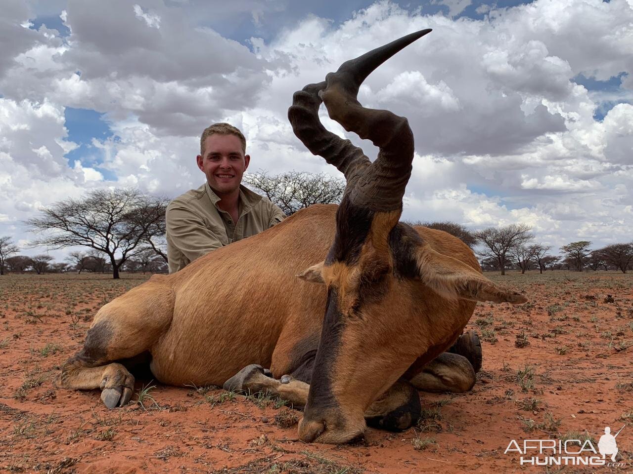 Hartebeest Hunt South Africa