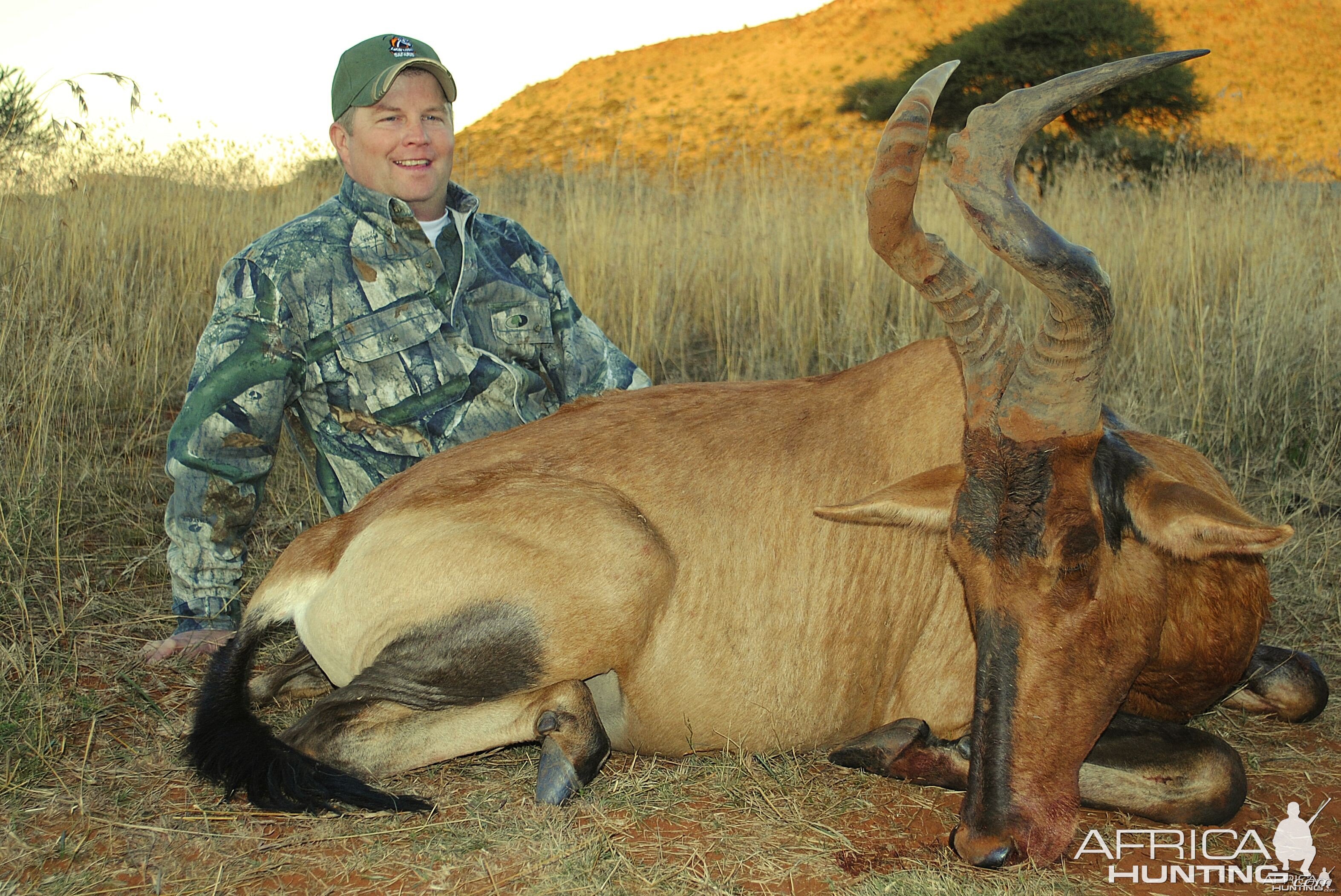 Hartebeest Hunt with Liam Urry Safaris