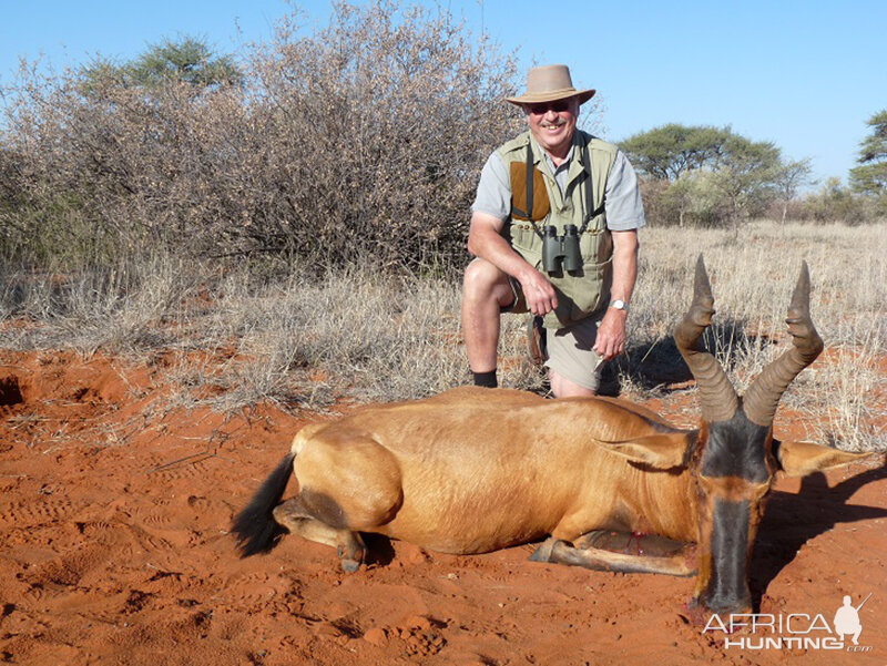 Hartebeest hunt with Wintershoek Johnny Vivier Safaris