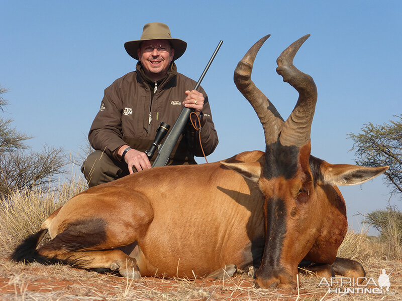 Hartebeest hunt with Wintershoek Johnny Vivier Safaris