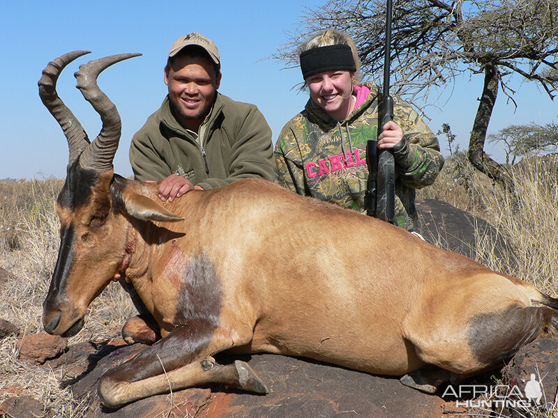 Hartebeest hunt with Wintershoek Johnny Vivier Safaris