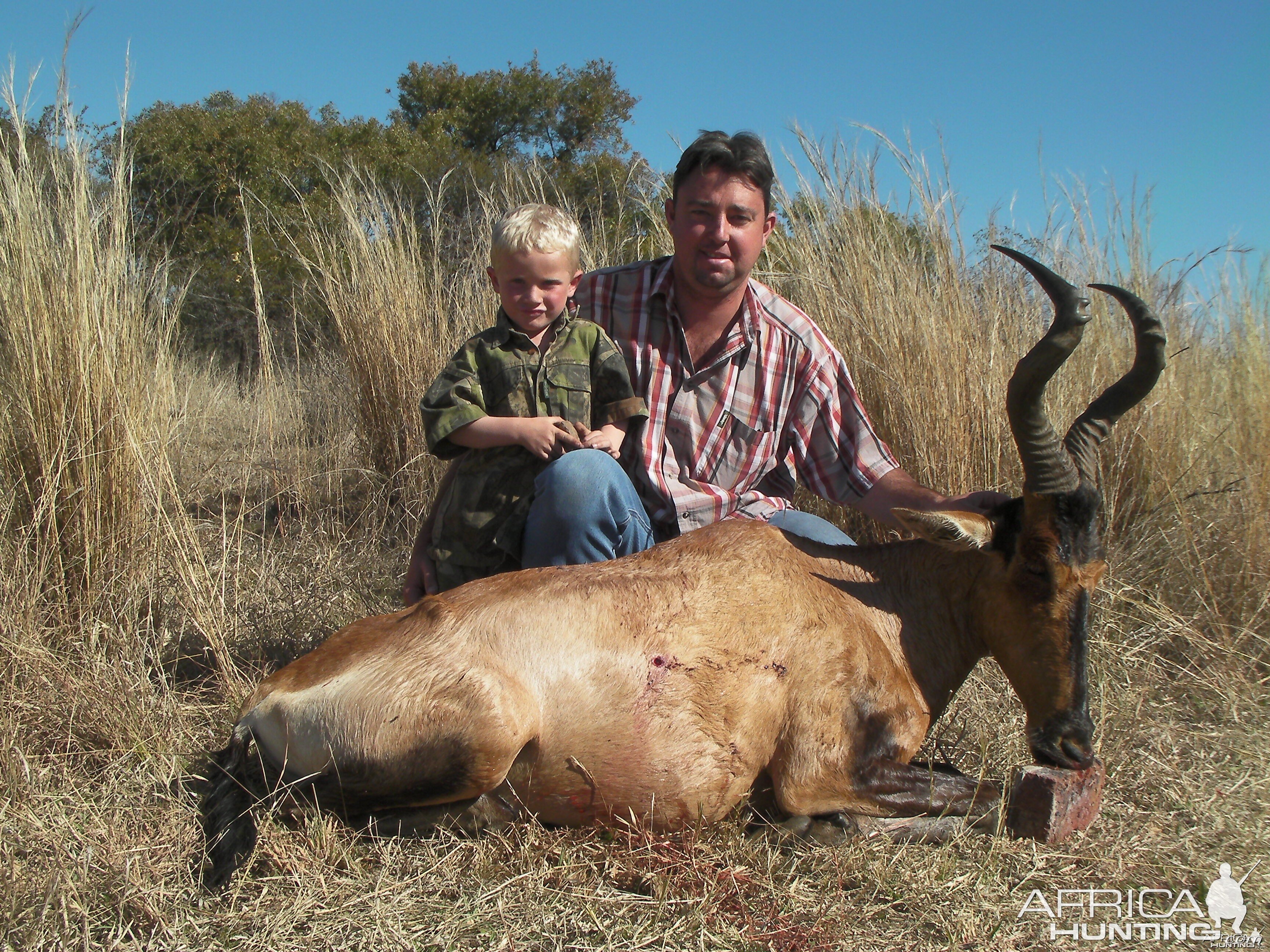 Hartebeest hunt