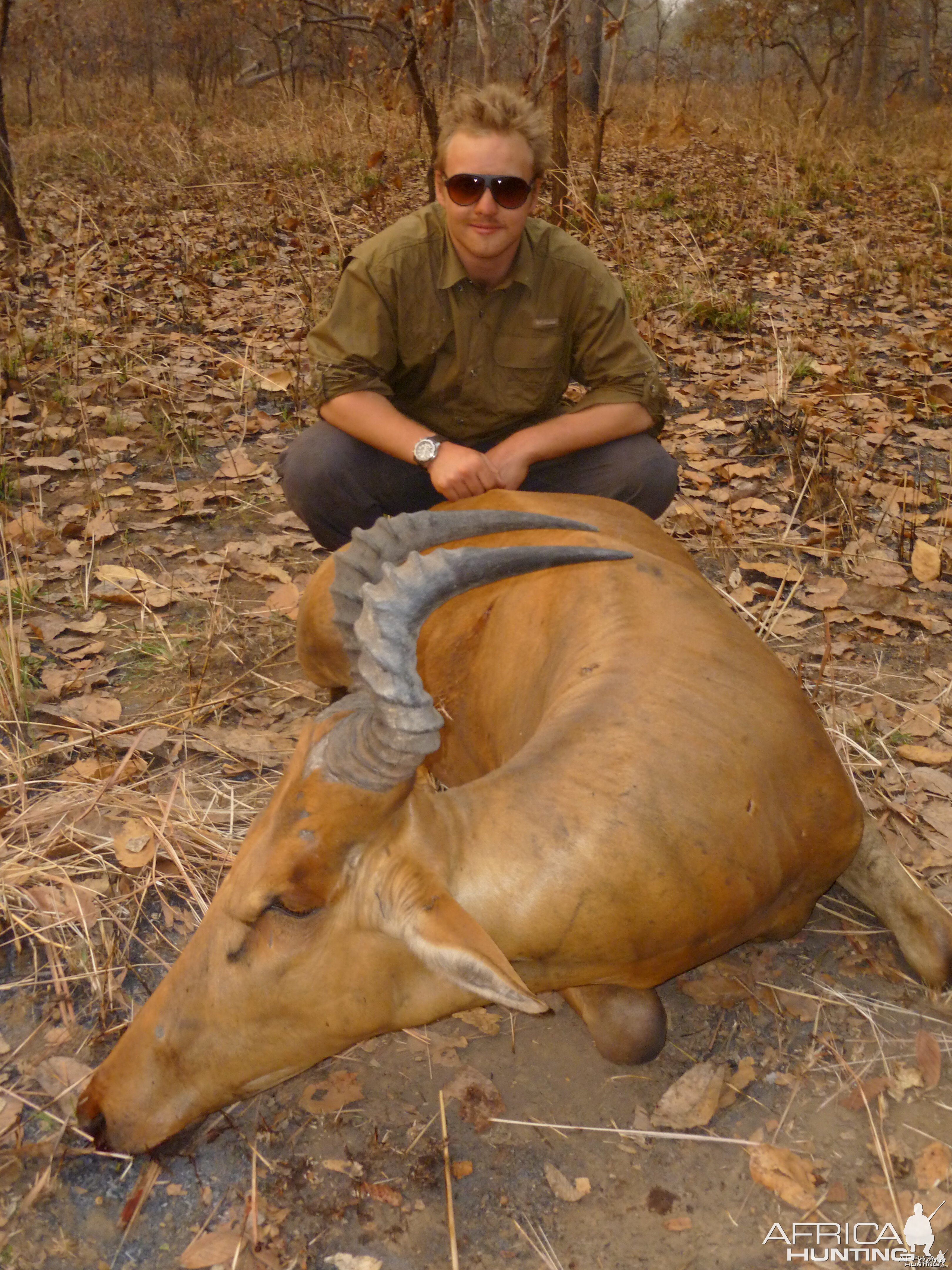 Hartebeest hunted in CAR with CAWA