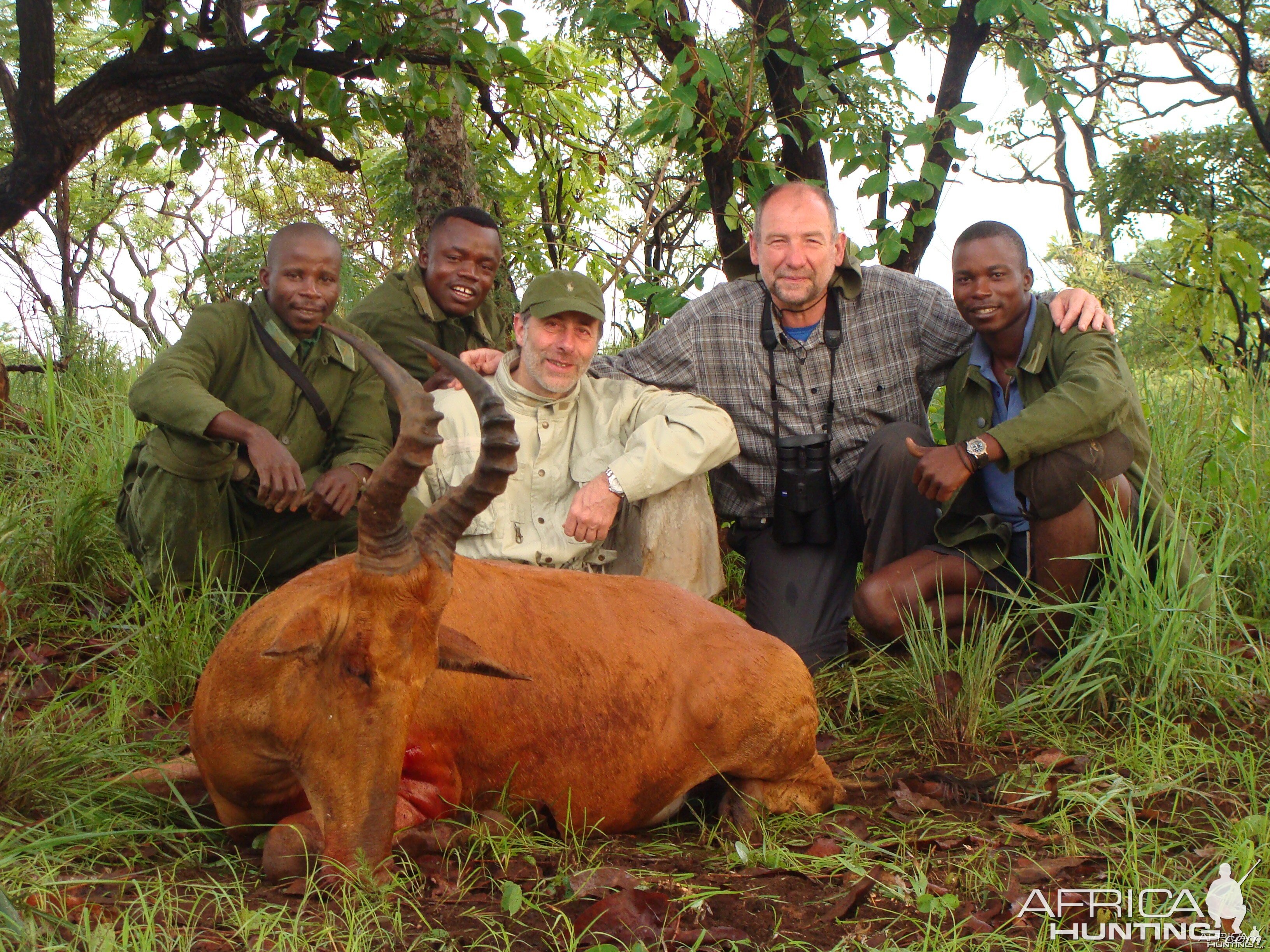 Hartebeest hunted in CAR with Central African Wildlife Adventures