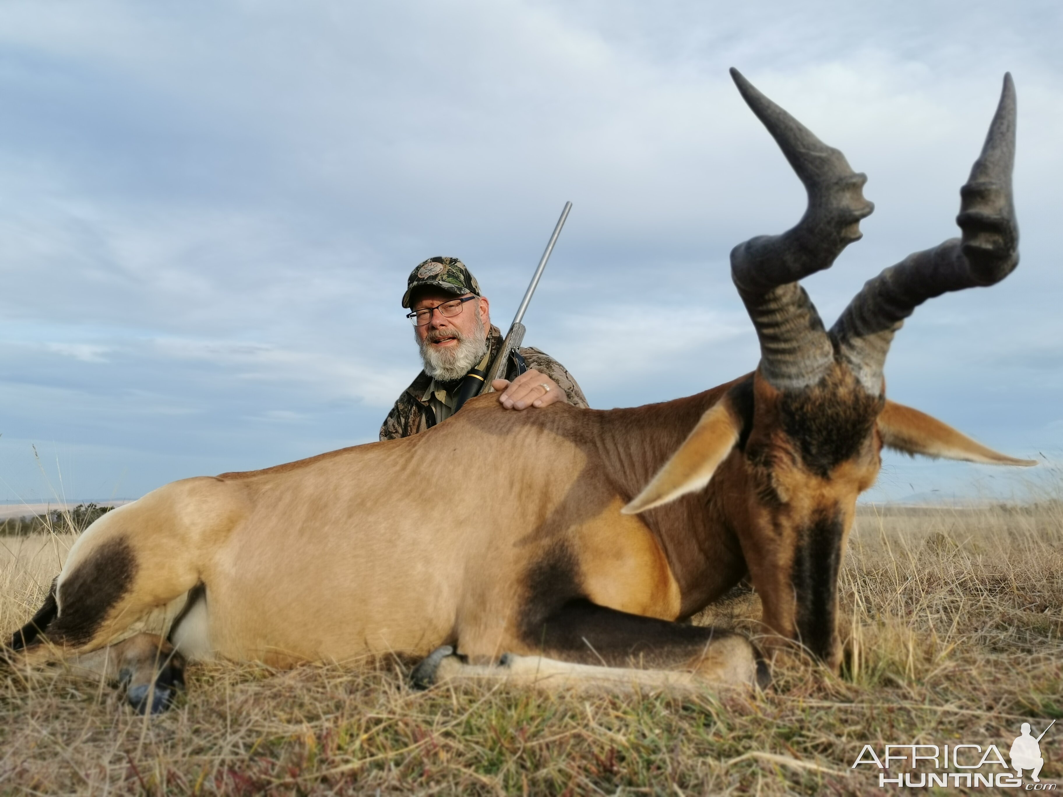 Hartebeest Hunting Eastern Cape South Africa