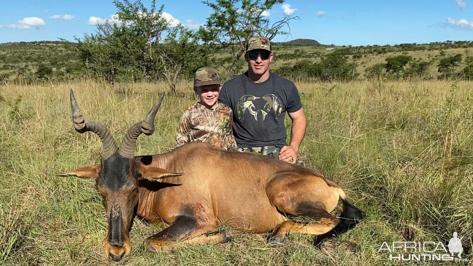 Hartebeest Hunting South Africa