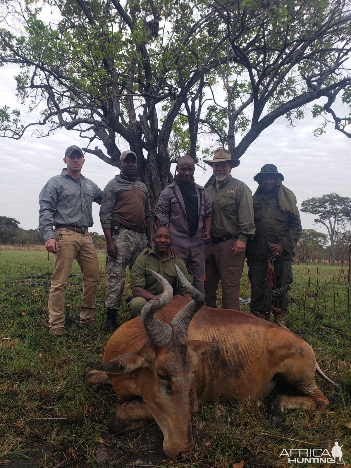 Hartebeest Hunting Tanzania